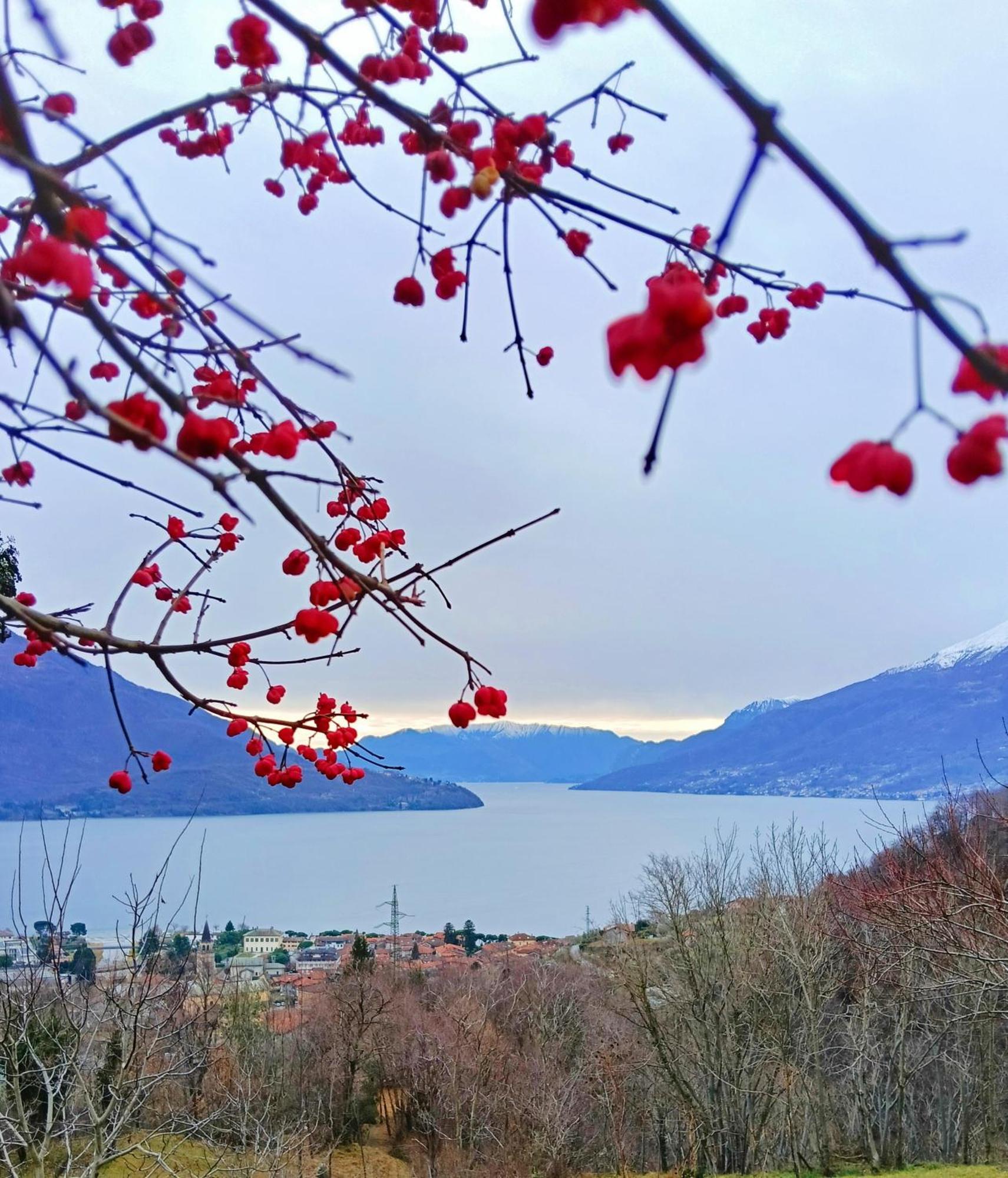Lake Como Borgo Vignola Cremia Luaran gambar